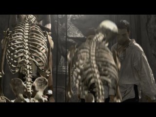 digital playground pirates xxx 2005