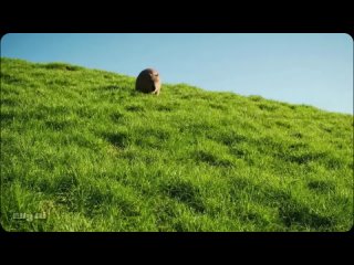 ai memes neural networks are out of control